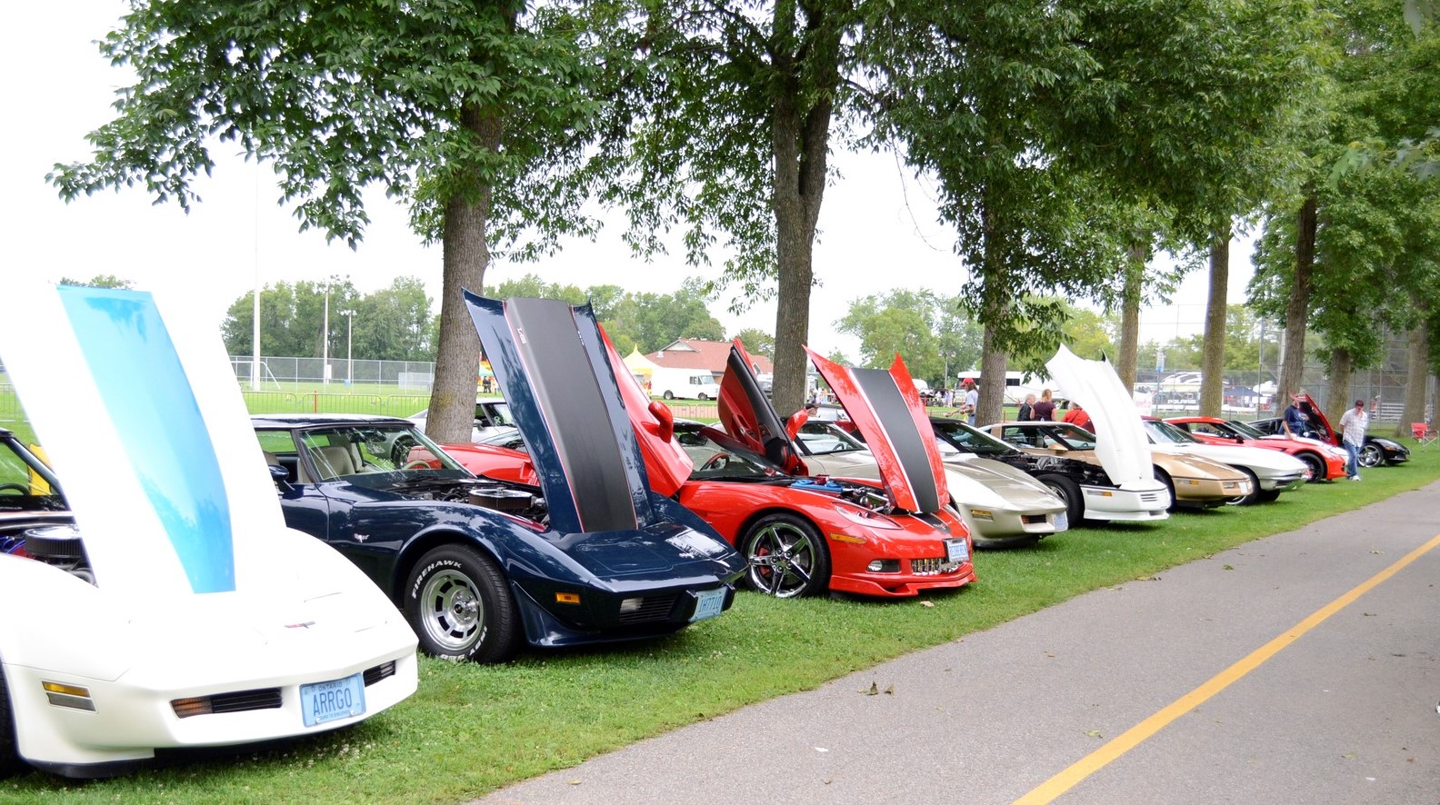 Corvettes of Durham